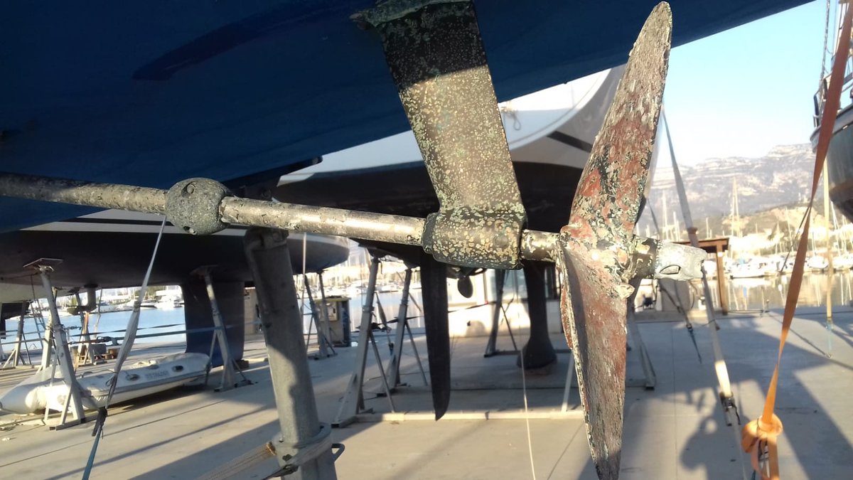 Imagen de Capitol 11 - 2019